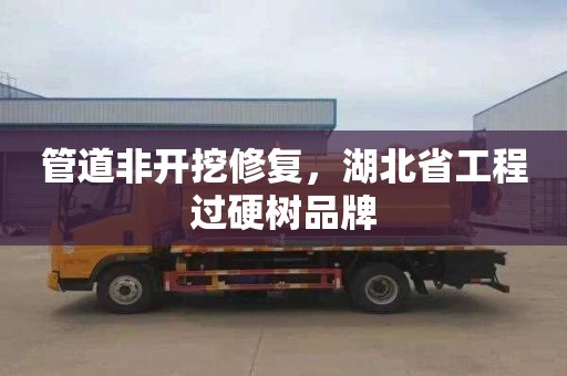 管道非开挖修复，湖北省工程过硬树品牌