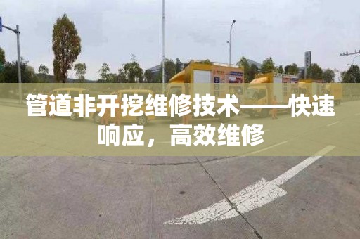 管道非开挖维修技术——快速响应，高效维修
