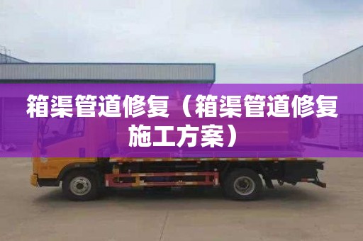箱渠管道修复（箱渠管道修复施工方案）