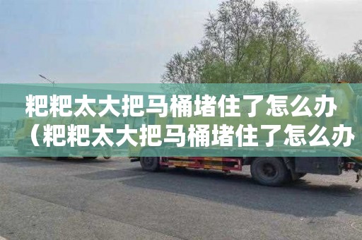 粑粑太大把马桶堵住了怎么办（粑粑太大把马桶堵住了怎么办放一会可以吗）
