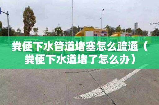 粪便下水管道堵塞怎么疏通（粪便下水道堵了怎么办）