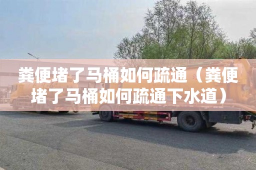 粪便堵了马桶如何疏通（粪便堵了马桶如何疏通下水道）