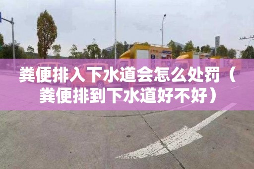 粪便排入下水道会怎么处罚（粪便排到下水道好不好）