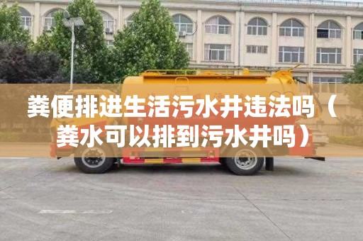 粪便排进生活污水井违法吗（粪水可以排到污水井吗）