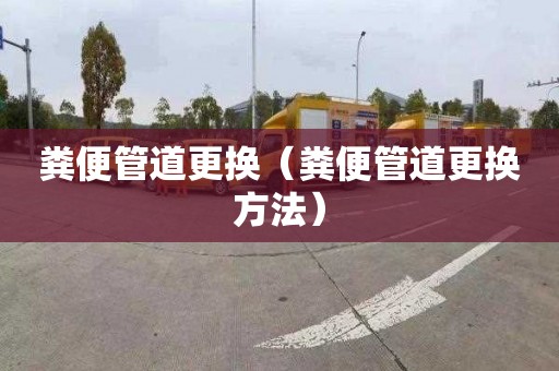 粪便管道更换（粪便管道更换方法）