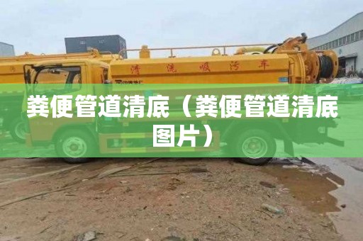 粪便管道清底（粪便管道清底图片）