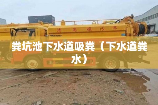 粪坑池下水道吸粪（下水道粪水）