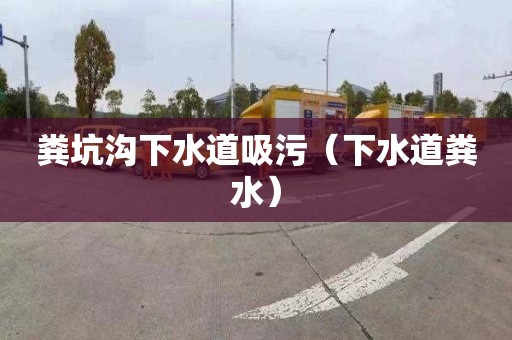 粪坑沟下水道吸污（下水道粪水）