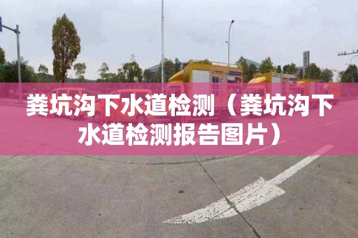 粪坑沟下水道检测（粪坑沟下水道检测报告图片）