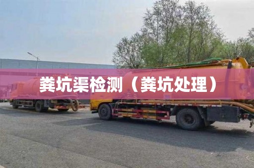 粪坑渠检测（粪坑处理）