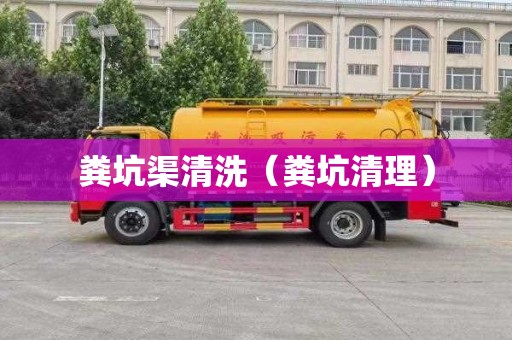 粪坑渠清洗（粪坑清理）