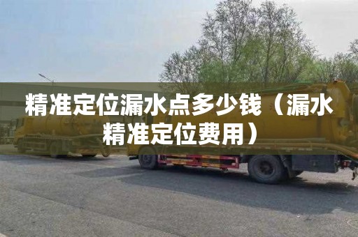 精准定位漏水点多少钱（漏水精准定位费用）