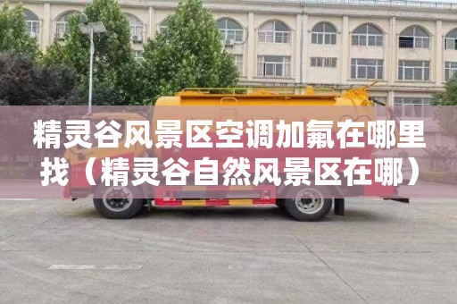 精灵谷风景区空调加氟在哪里找（精灵谷自然风景区在哪）