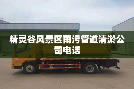 精灵谷风景区雨污管道清淤公司电话