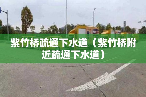 紫竹桥疏通下水道（紫竹桥附近疏通下水道）