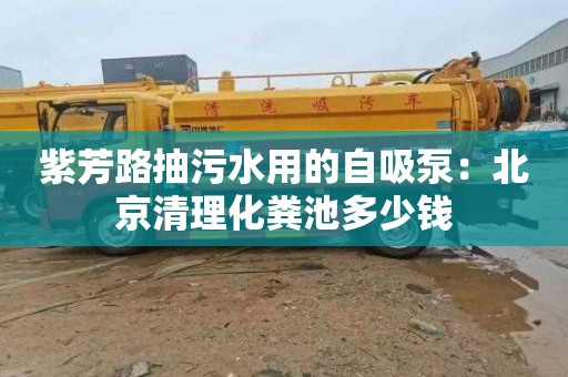 紫芳路抽污水用的自吸泵：北京清理化粪池多少钱