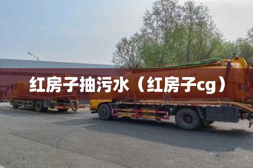 红房子抽污水（红房子cg）