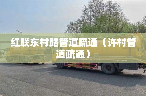 红联东村路管道疏通（许村管道疏通）