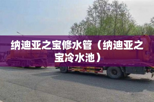 纳迪亚之宝修水管（纳迪亚之宝冷水池）