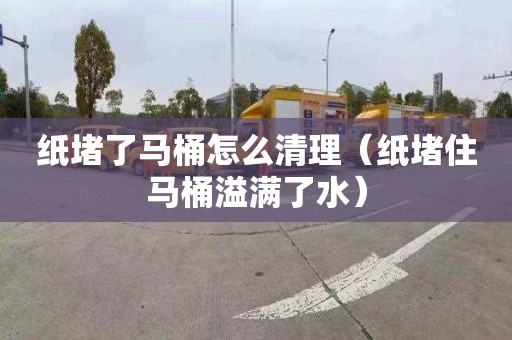 纸堵了马桶怎么清理（纸堵住马桶溢满了水）