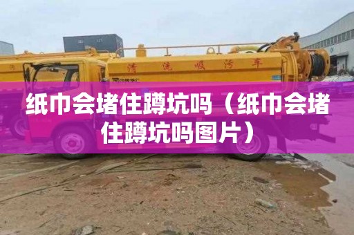 纸巾会堵住蹲坑吗（纸巾会堵住蹲坑吗图片）