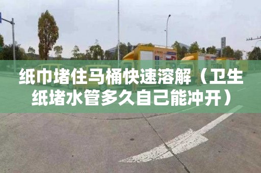 纸巾堵住马桶快速溶解（卫生纸堵水管多久自己能冲开）