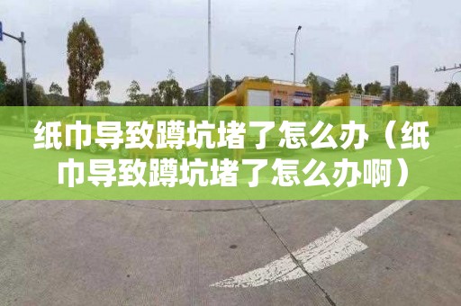 纸巾导致蹲坑堵了怎么办（纸巾导致蹲坑堵了怎么办啊）