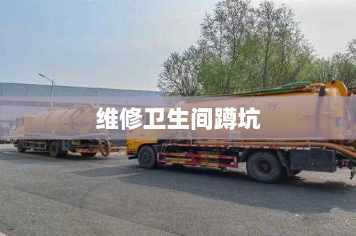 维修卫生间蹲坑