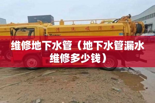 维修地下水管（地下水管漏水维修多少钱）