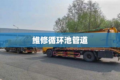 维修循环池管道