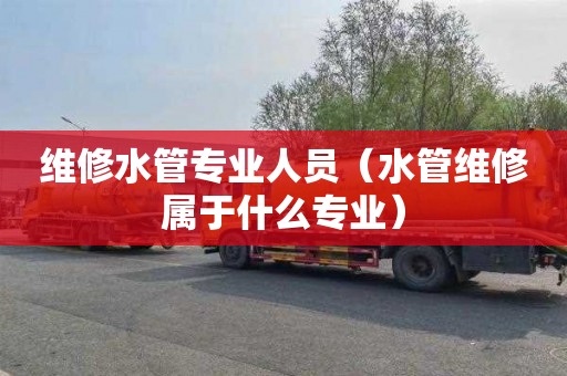 维修水管专业人员（水管维修属于什么专业）