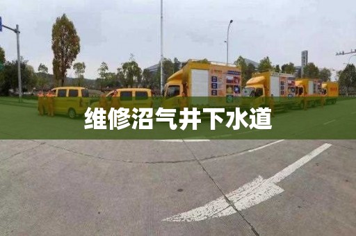 维修沼气井下水道