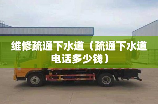 维修疏通下水道（疏通下水道电话多少钱）