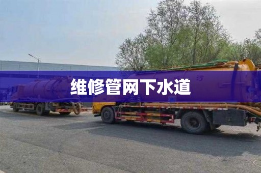 维修管网下水道