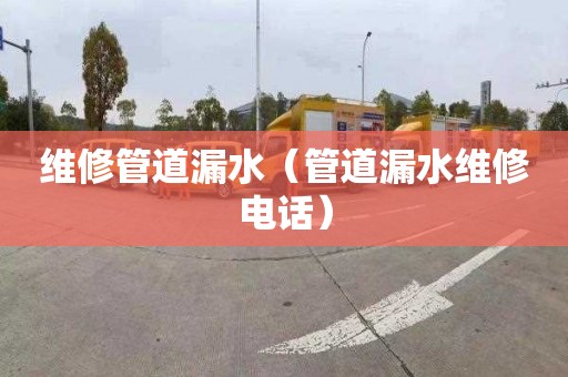 维修管道漏水（管道漏水维修电话）