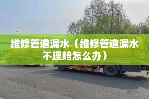 维修管道漏水（维修管道漏水不理赔怎么办）