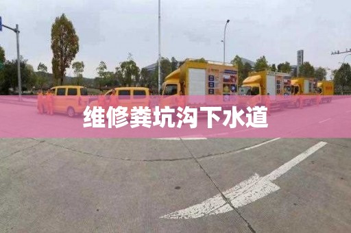 维修粪坑沟下水道