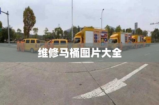维修马桶图片大全