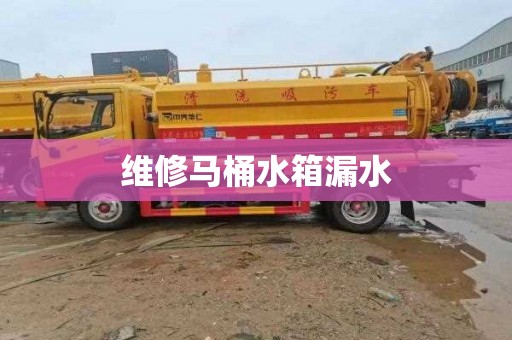 维修马桶水箱漏水