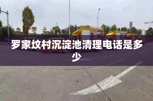 罗家坟村沉淀池清理电话是多少