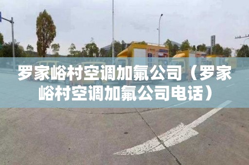 罗家峪村空调加氟公司（罗家峪村空调加氟公司电话）