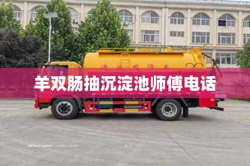 羊双肠抽沉淀池师傅电话