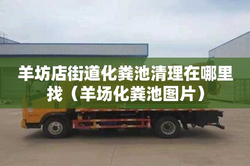 羊坊店街道化粪池清理在哪里找（羊场化粪池图片）