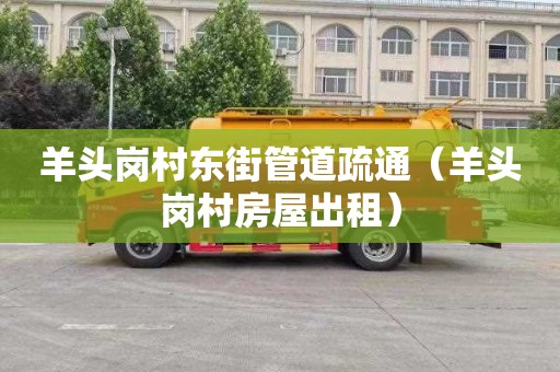 羊头岗村东街管道疏通（羊头岗村房屋出租）