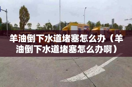 羊油倒下水道堵塞怎么办（羊油倒下水道堵塞怎么办啊）