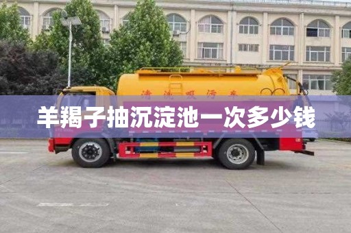 羊羯子抽沉淀池一次多少钱