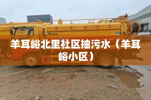 羊耳峪北里社区抽污水（羊耳峪小区）