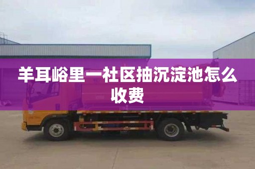 羊耳峪里一社区抽沉淀池怎么收费