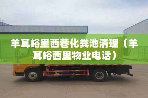 羊耳峪里西巷化粪池清理（羊耳峪西里物业电话）