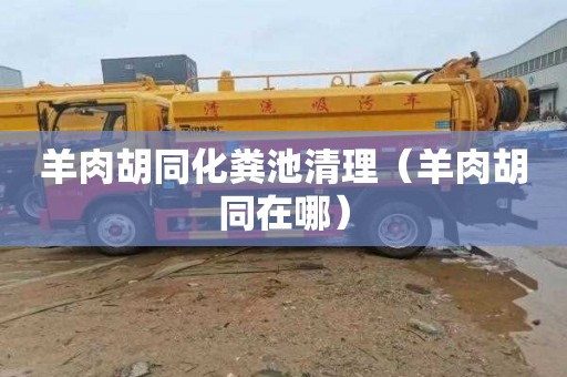 羊肉胡同化粪池清理（羊肉胡同在哪）